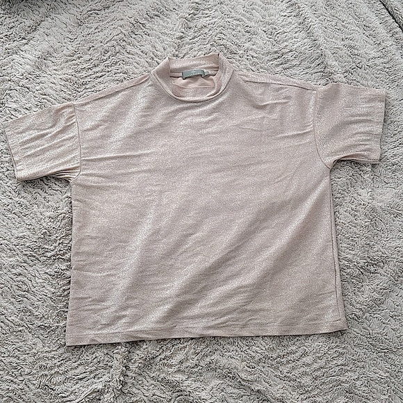 Large Beige Pink Top Shiny from Rareism - Picture 1 of 3